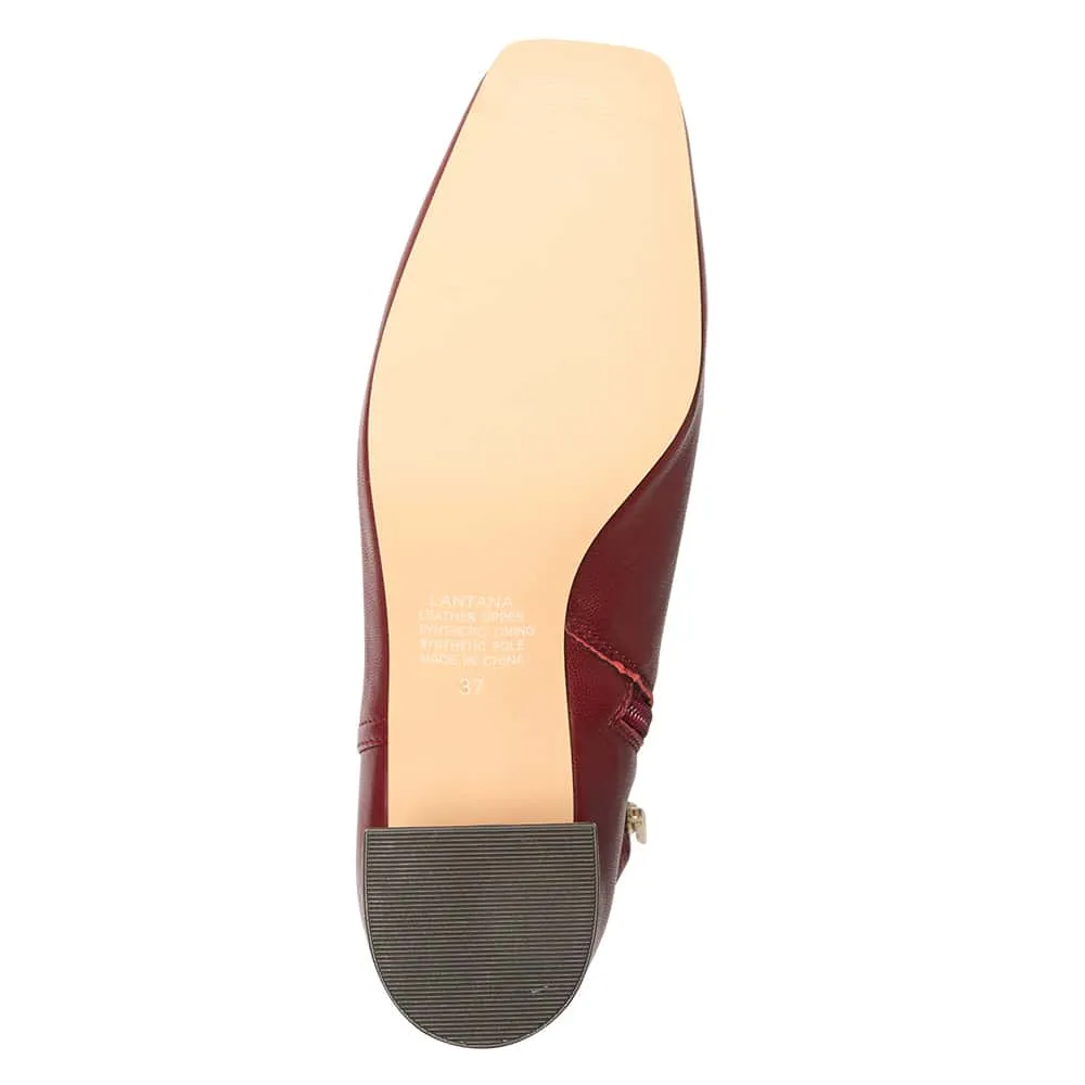 Lantana Boot in Wine Stretch Glove Leather