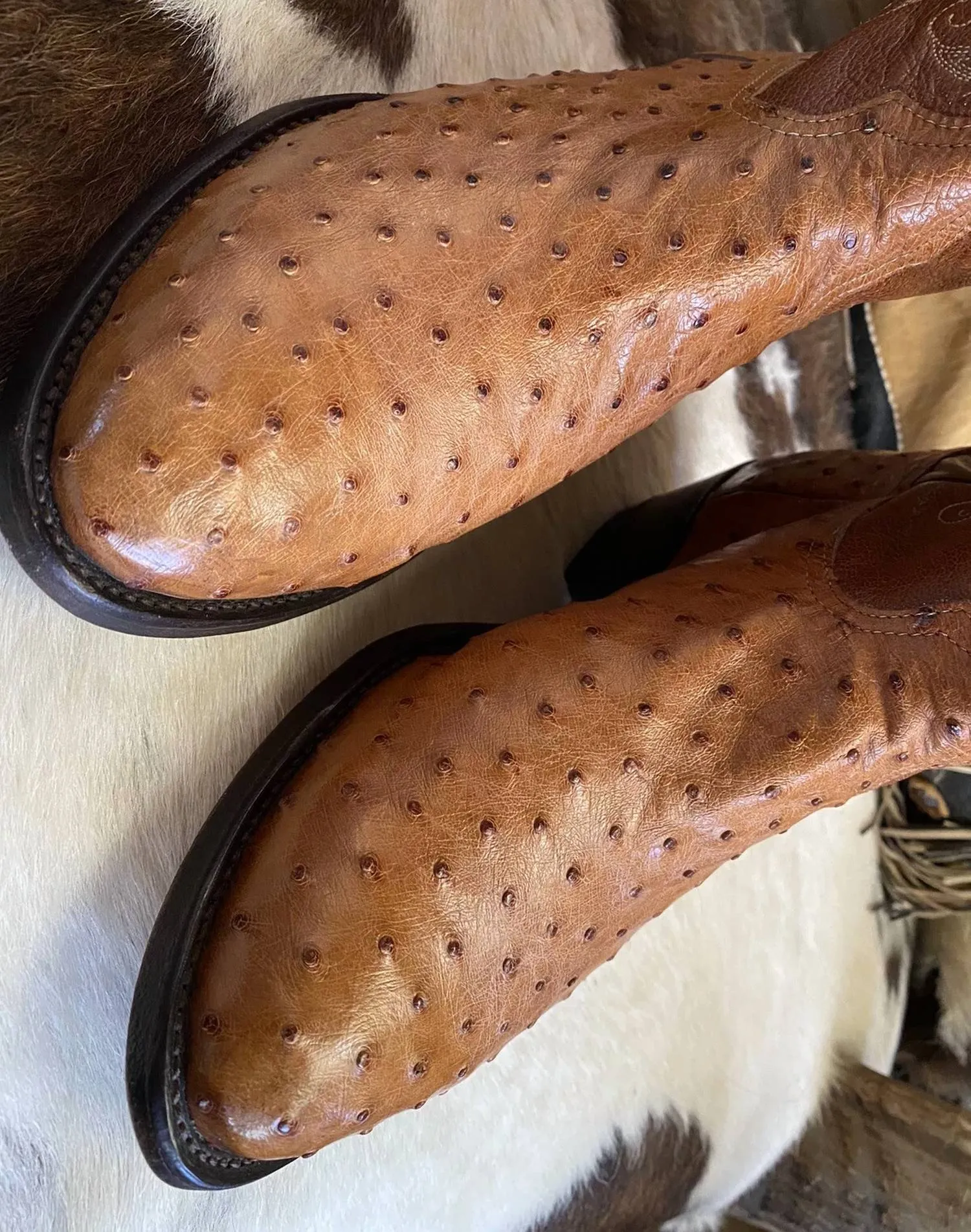 Men's Western Full Quill Ostrich Boots In Brown